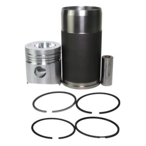 わに 3985-1-23_2-768x768.jpg